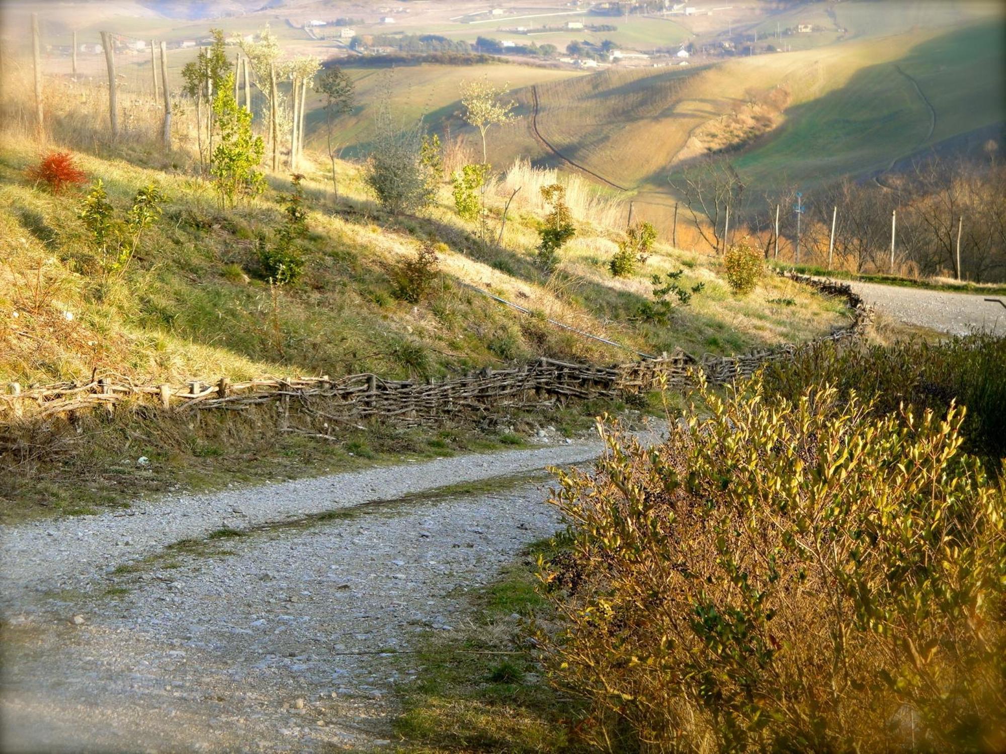 Taverna Centomani Potenza Luaran gambar